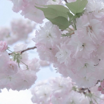 兽设治愈风格绘画Furry群